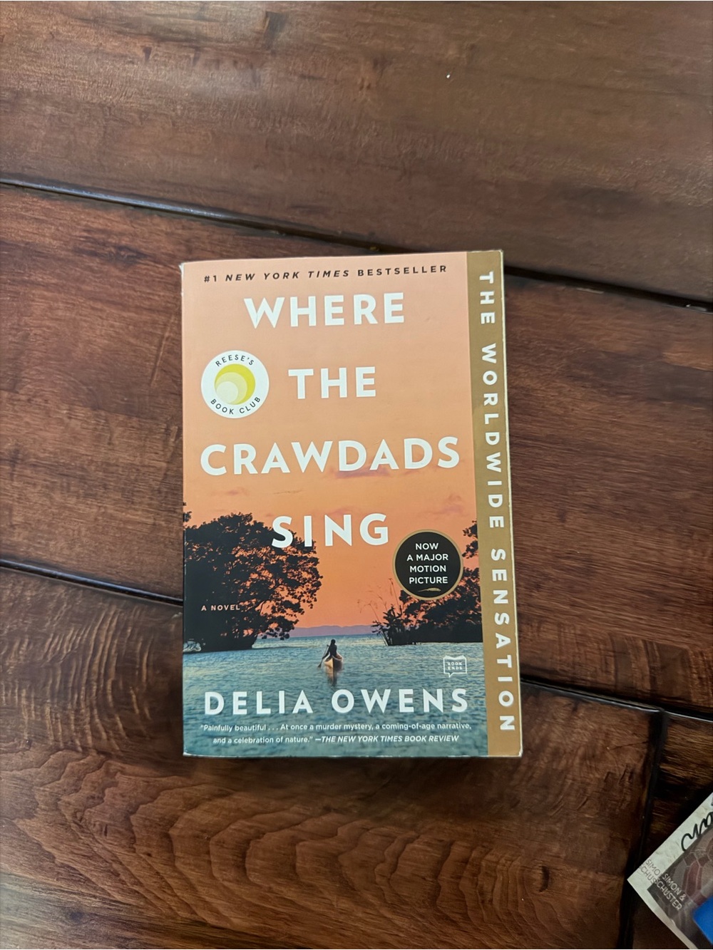 Target Orange and Blue "Where the Crawdads Sing" by Delia Owens